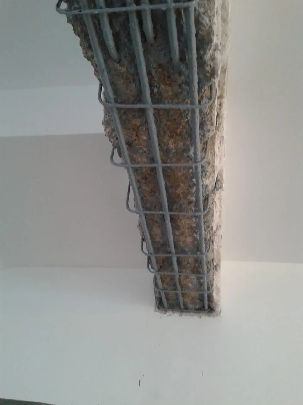 Tetto da rifare Palermo